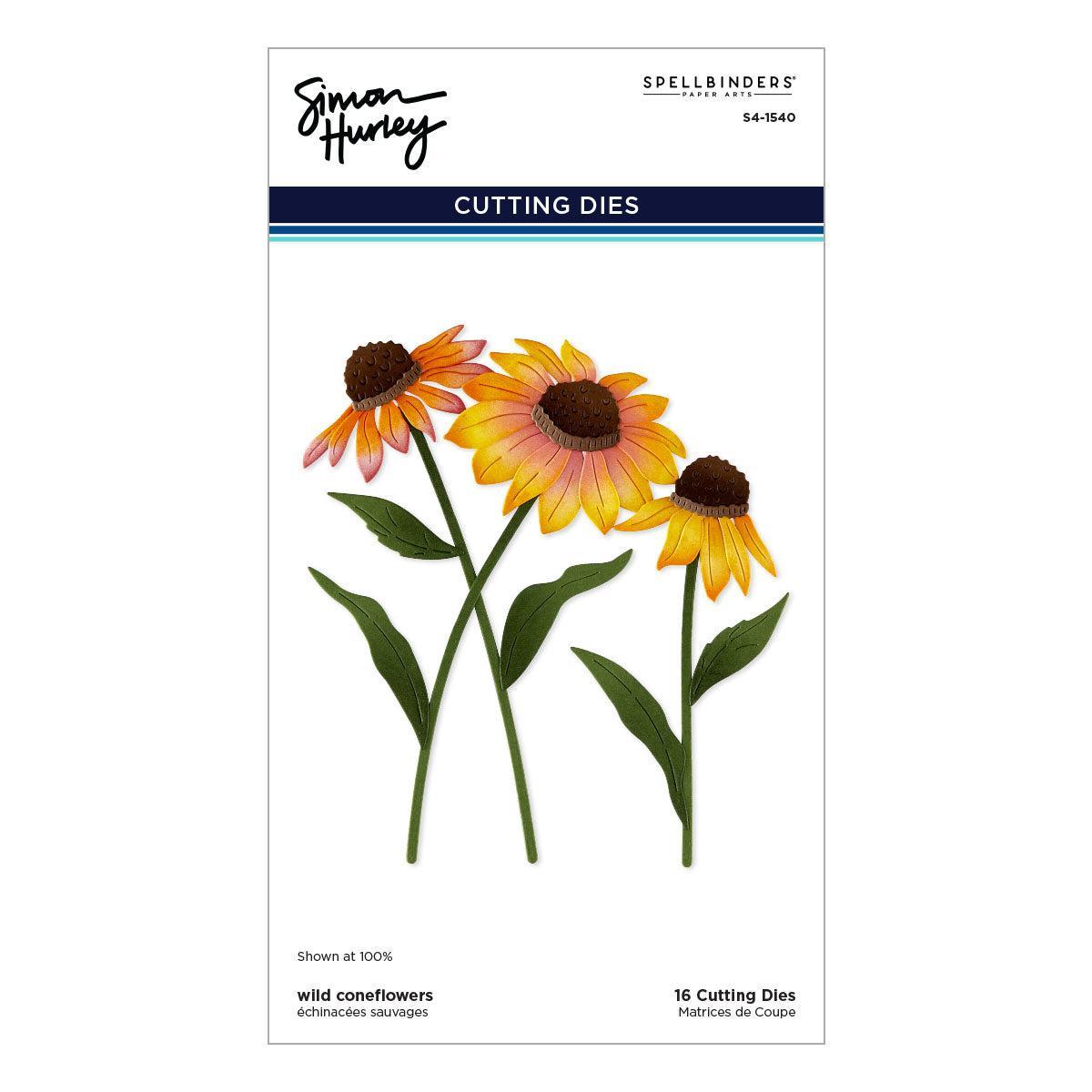 Spellbinders Dies - Wild Coneflowers