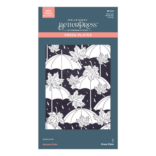Spellbinders Press Plates - Autumn Rain