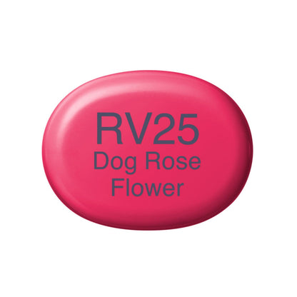 Copic Sketch Marker - Dog Rose Flower - RV25